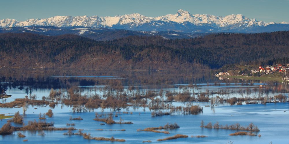 Razstava: Ekosistemi Slovenije in biodiverziteta