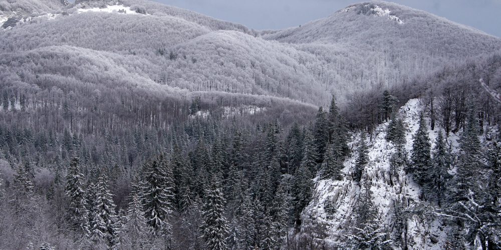 Razstava: Ekosistemi Slovenije in biodiverziteta v Mariboru