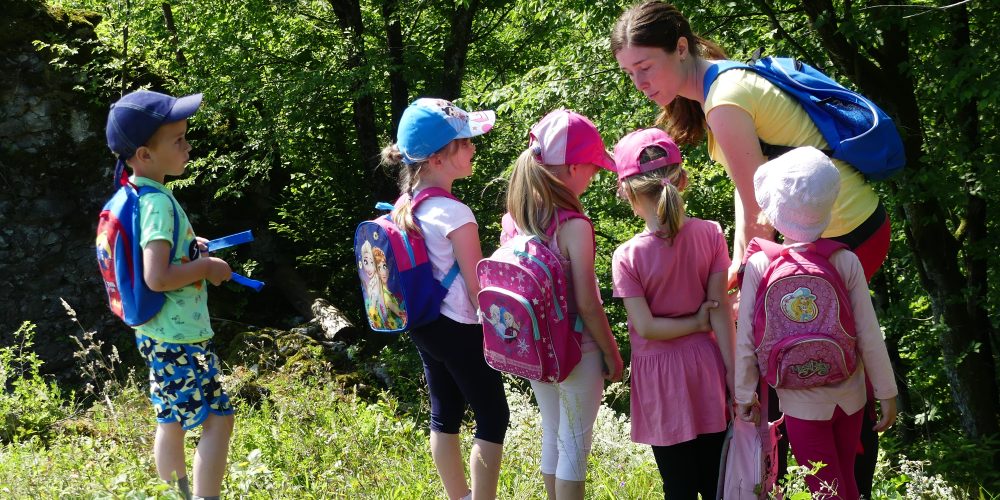 Delavnica “Življenje na travniku” za vrtec Kozje