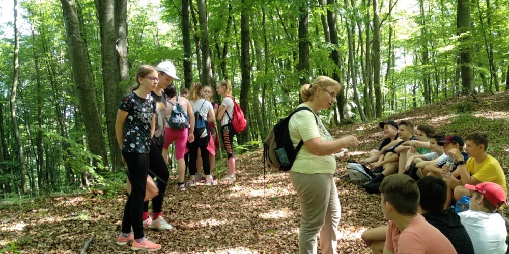 Naravoslovni dan za OŠ Ljubečna
