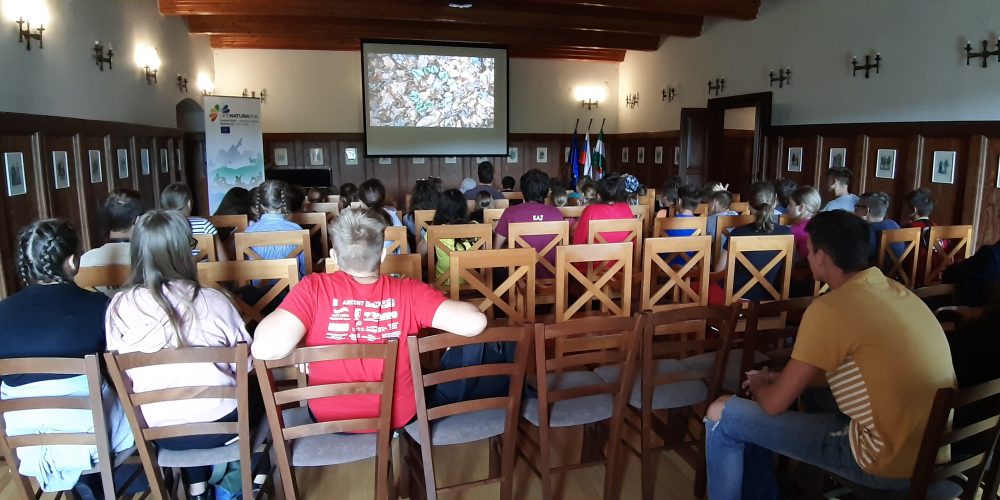Predstavitev projekta Life Naturaviva in biodiverzitete Kozjanskega parka