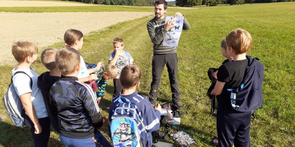 Naravoslovni dan ”Biodiverziteta travnikov na Goričkem” na OŠ Kobilje