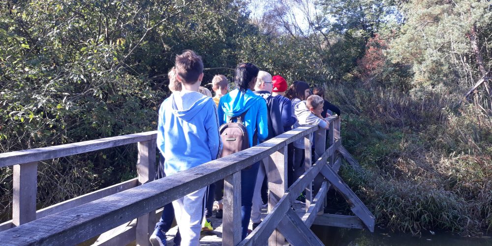 Naravoslovni dan ob Hodoškem jezeru