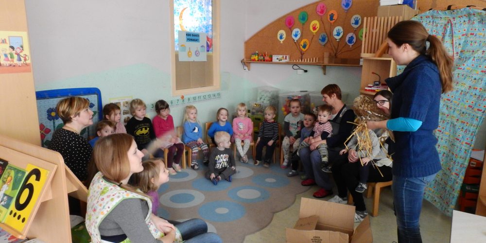 Obisk lesne sove v vrtcu Pikapolonica