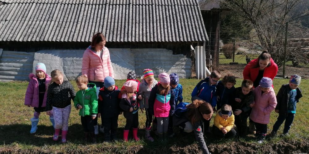 Delavnica o bobru v vrtcu Zmajček