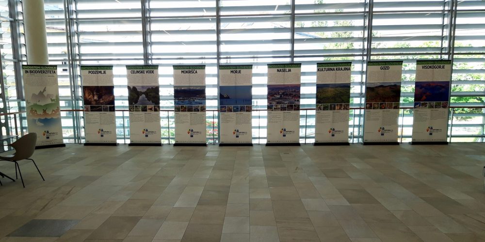 Razstava Ekosistemi Slovenije in biodiverziteta v Mariboru