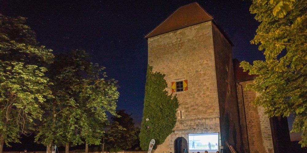 Letni kino pod grajskimi zvezdami