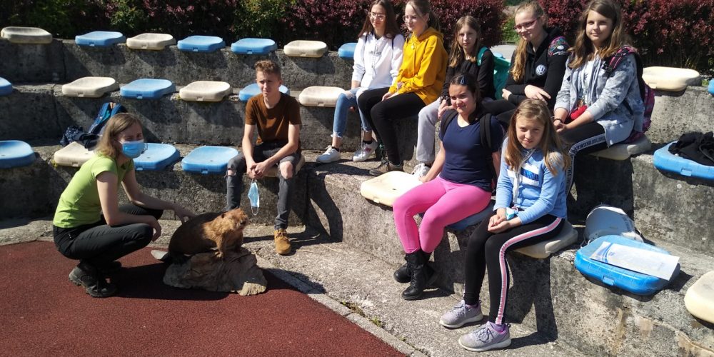 Delavnica o biodiverziteti za OŠ Bistrica ob Sotli