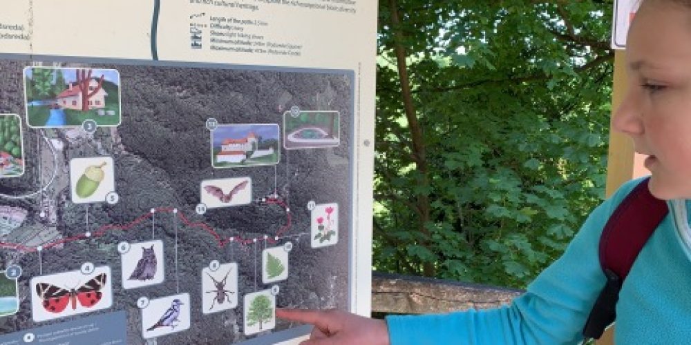 Delavnica o gozdu za OŠ Bistrica ob Sotli