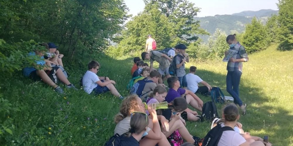 Izobraževalna delavnica o suhem travniku za OŠ Senovo