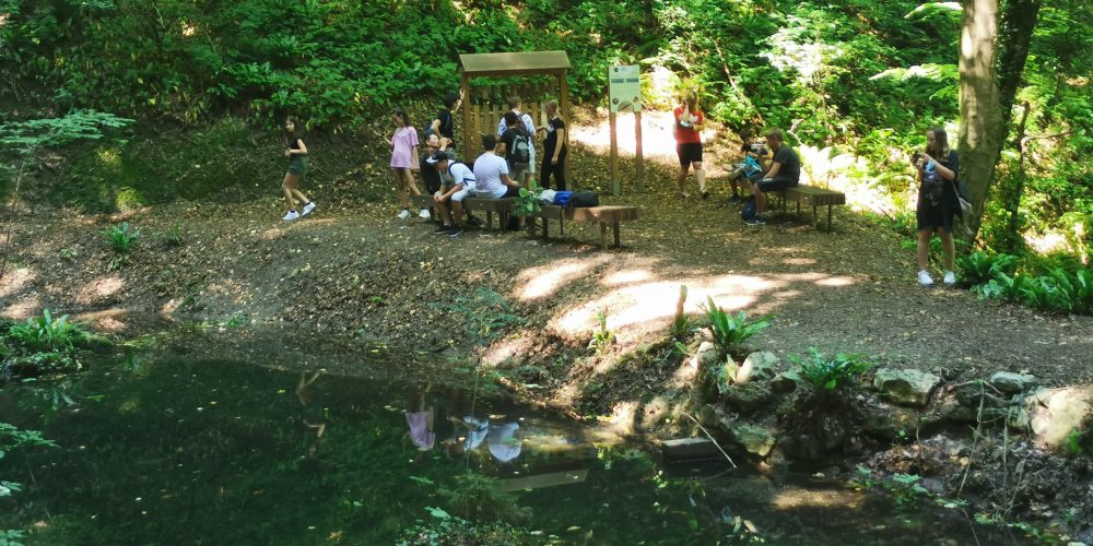 Delavnica o biotski pestrosti gozda ob Grajski poti Podsreda za OŠ Senovo