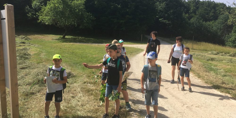 Delavnica o travniku in travniškem sadovnjaku za OŠ Lesično