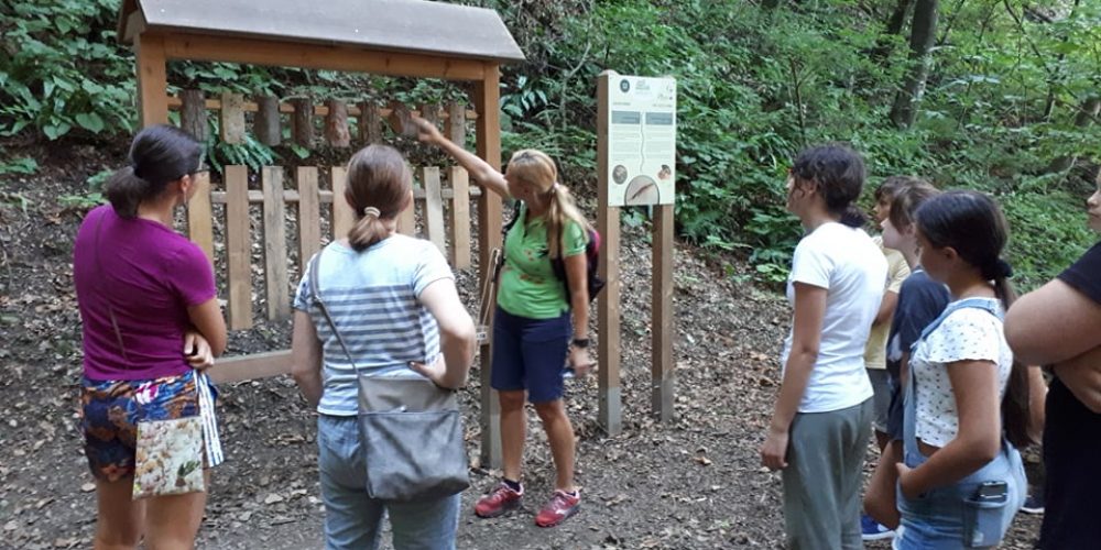 Delavnica o biotski pestrosti gozda za udeležence glasbenega seminarja