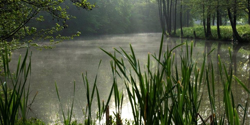 Kon’c avgusta: Mesto svetlobe