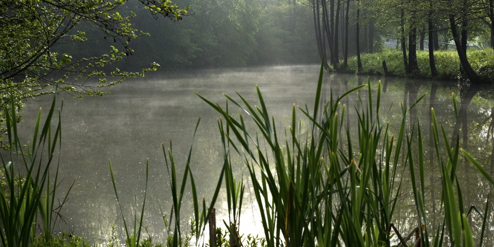 Predstavitev Kozjanskega parka in projekta Life Naturaviva