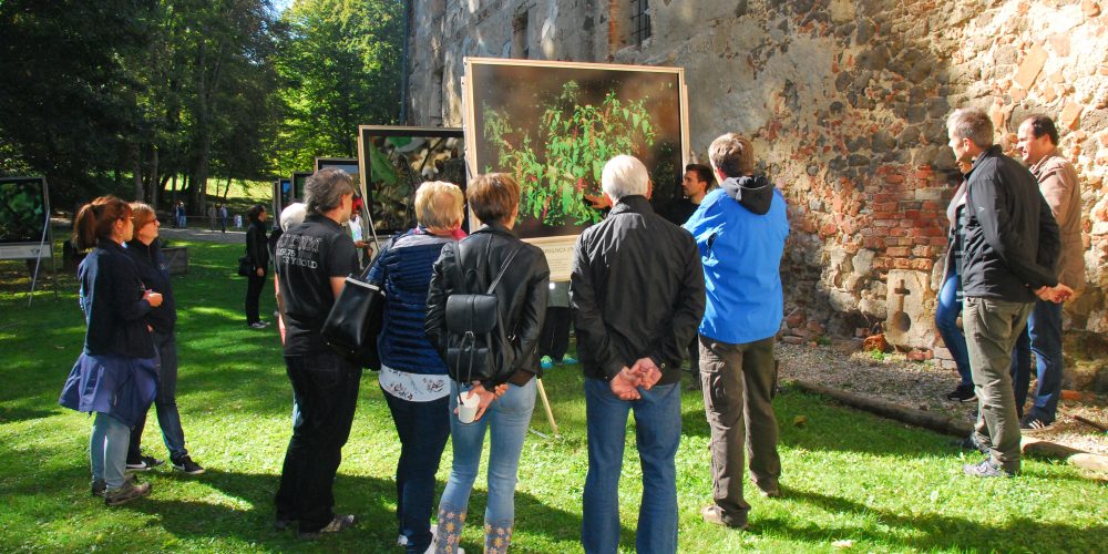 Spoznavanje invazivnih tujerodnih vrst na 14. Grajskem bazarju Krajinskega parka Goričko