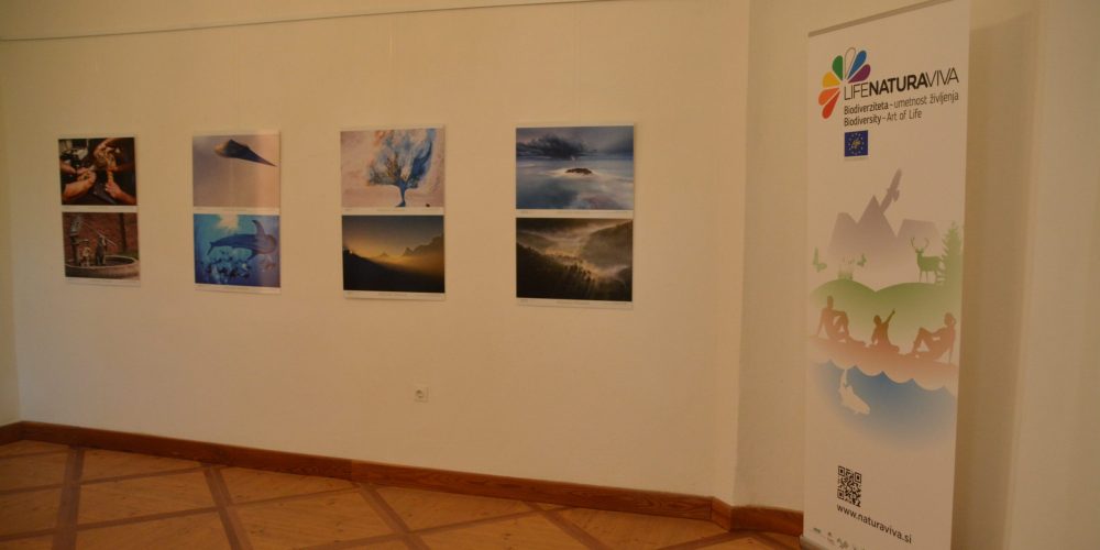 Magična narava 2019 na fotografiji