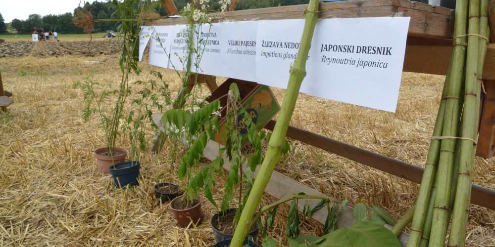 Predstavitev projekta LIFE Naturaviva in predstavitev invazivnih tujerodnih rastlin na Goričkem