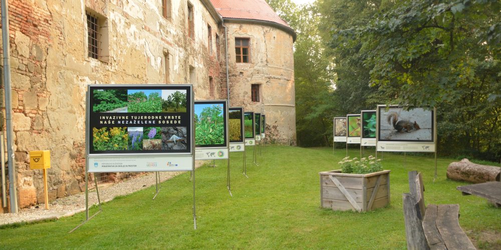 Razstava ”Invazivne tujerodne vrste, naše nezaželene sosede”
