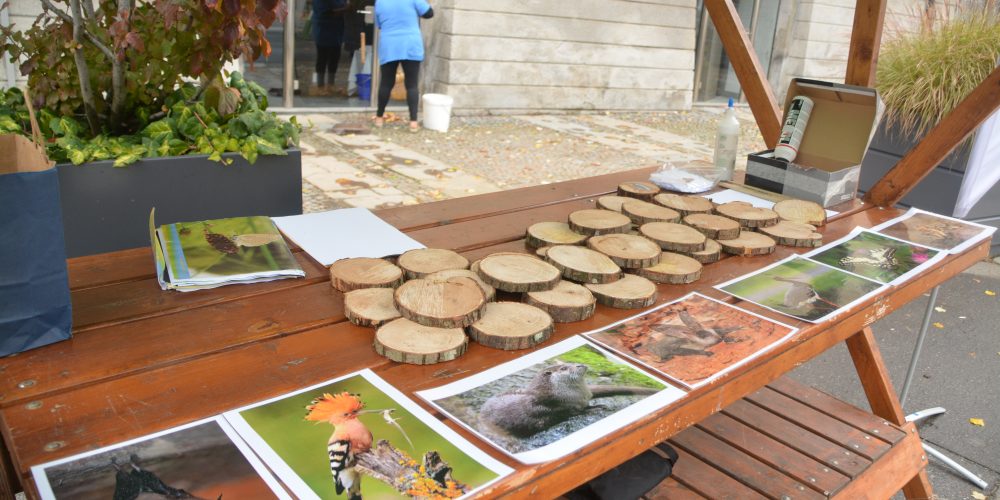 Ustvarjalne delavnice ob tednu otroka