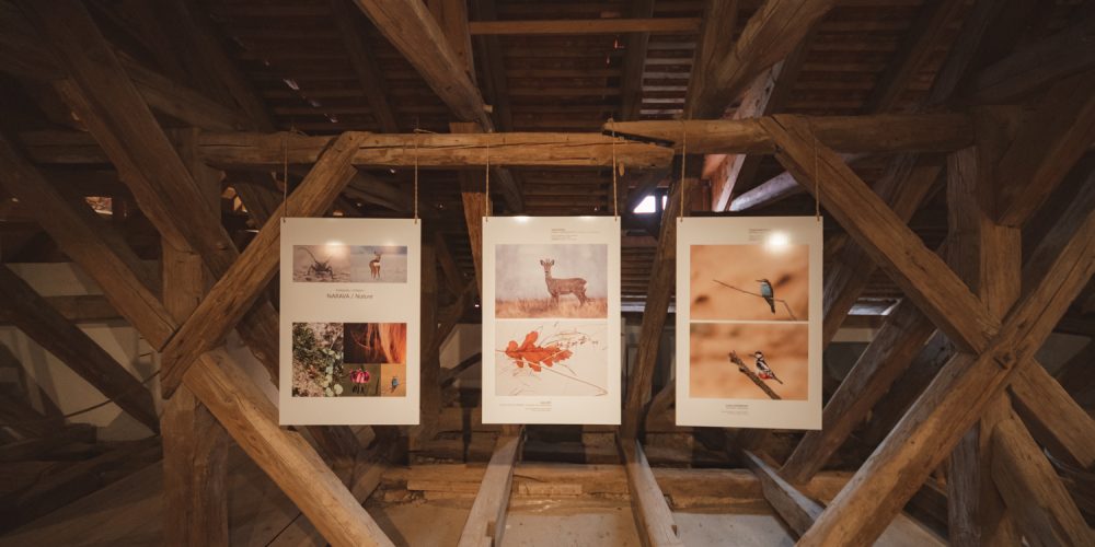 Odprtje razstave fotografskega natečaja “Biodiverziteta – umetnost življenja 2021”