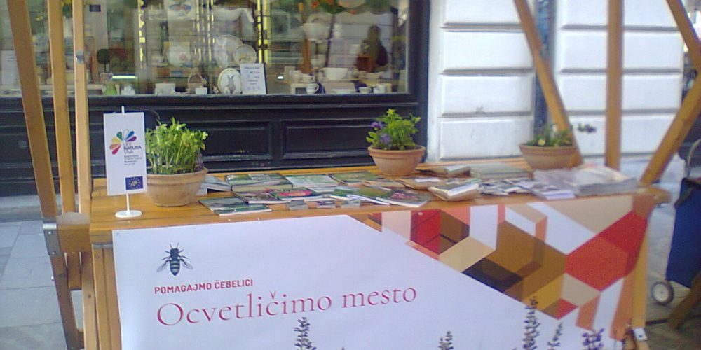 Pomagajmo čebelici – ocvetličimo mesto 2018