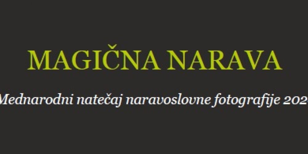 Magična narava 2020