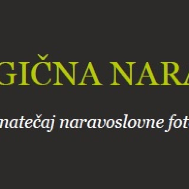 Magična narava 2020