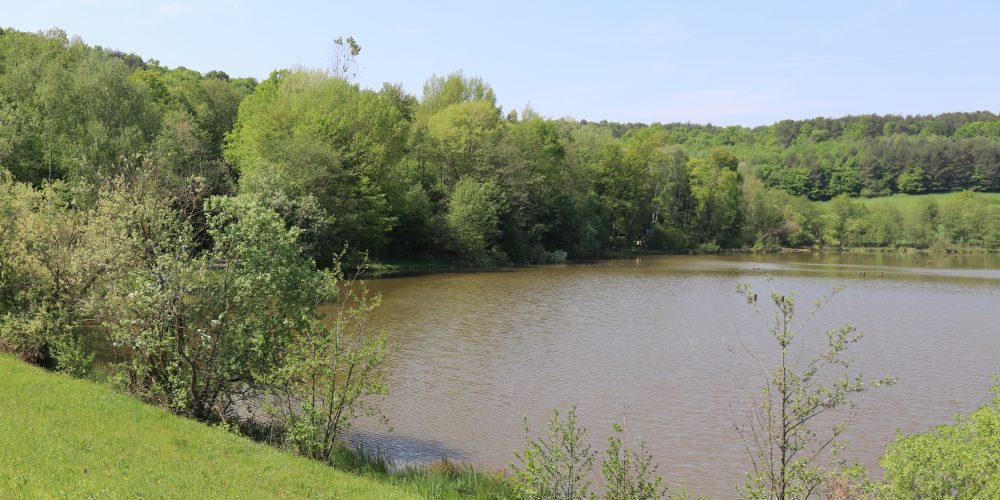 Vodni ekosistemi: Hodoško jezero