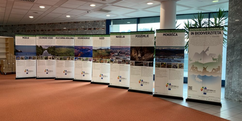 V Pokrajinski in študijski knjižnici gostuje razstava Ekosistemi Slovenije in biodiverziteta