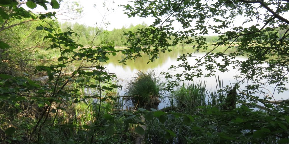 Naravoslovni dan na Mariborskem otoku