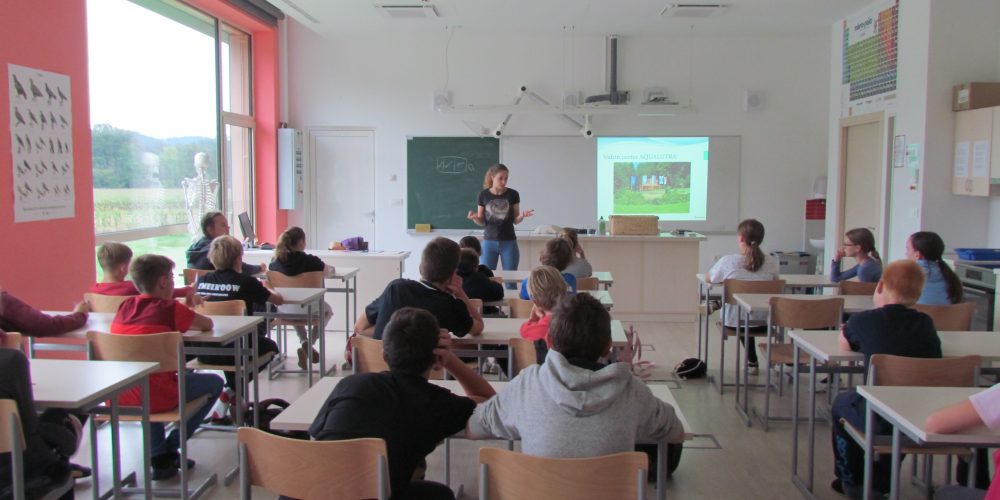 NVO gre v šolo