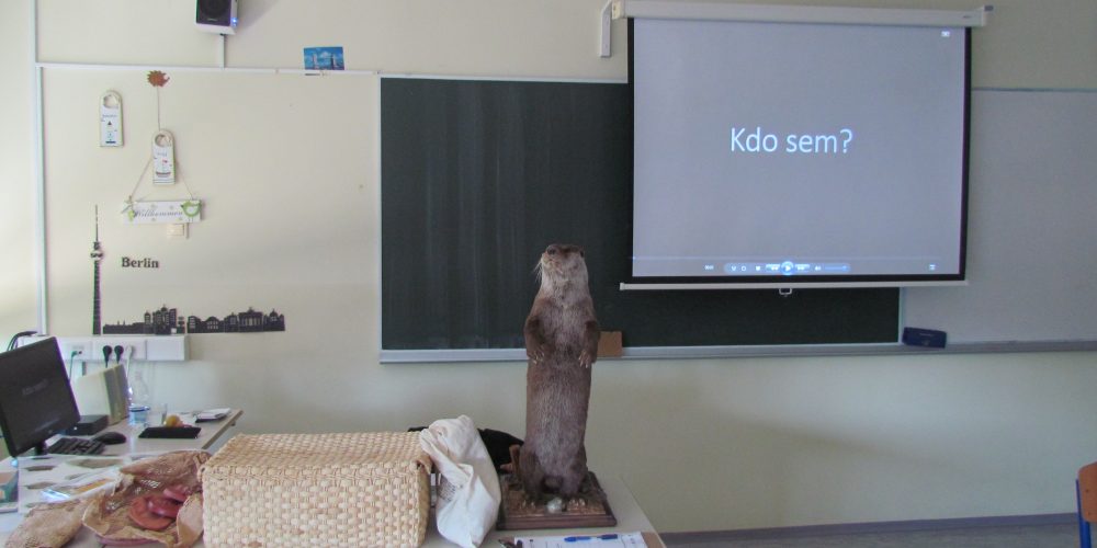 Delavnice na OŠ Rudolfa Maistra Šentilj