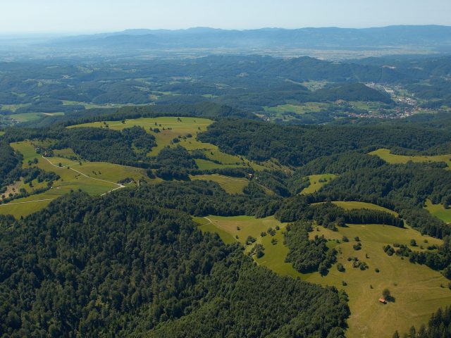 KOZJANSKI PARK – SOŽITJE NARAVE IN ČLOVEKA