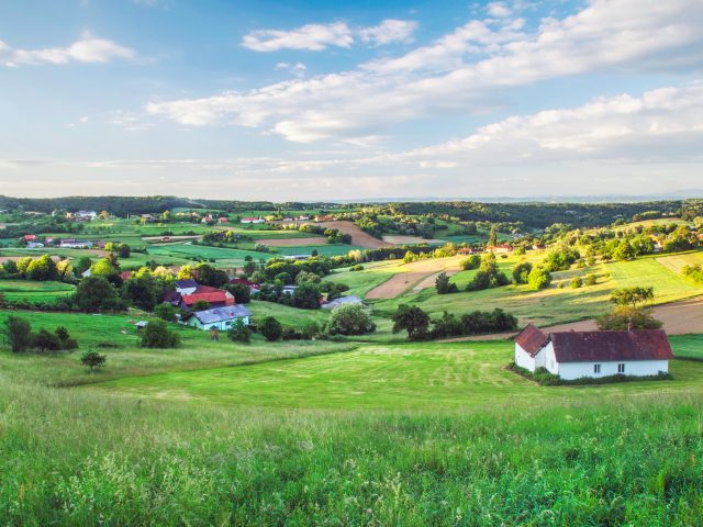 Tretja številka novičnika: Biodiverziteta in kulturna krajina