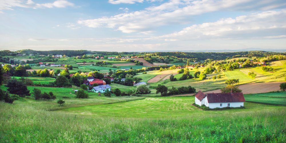 Tretja številka novičnika: Biodiverziteta in kulturna krajina