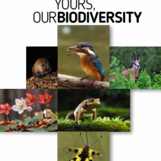 Brochure about biodiversity