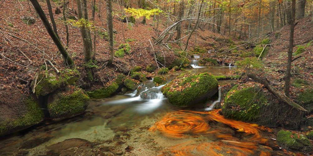 Glasovanje za NAJ fotografijo – VODE