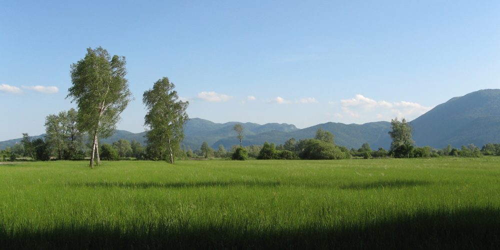 15. Pohod po Ljubljanskem barju