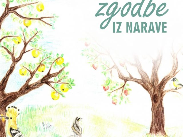 Zgodbe iz narave