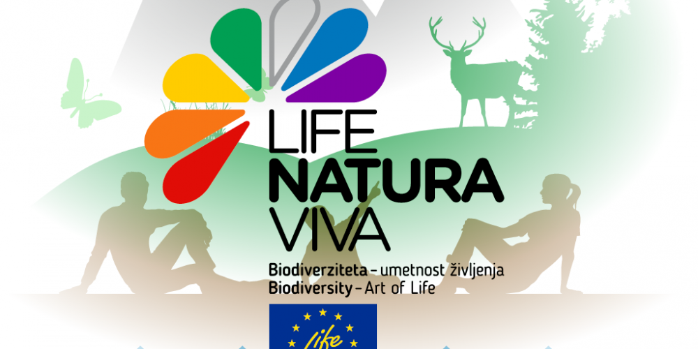 Predavanje na konferenci srednješolskih učiteljev