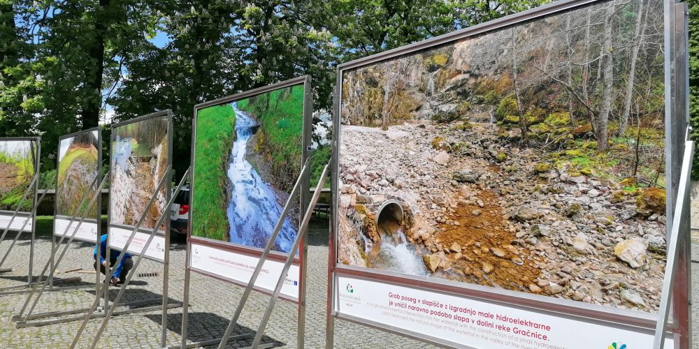 Predavanje Biotski biseri Kozjanskega