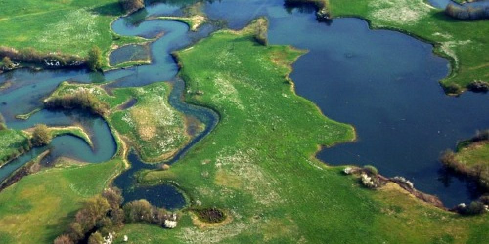 Razstava: Ekosistemi Slovenije in biodiverziteta