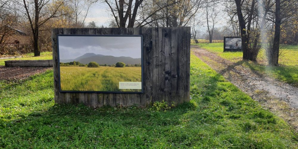 Vodenje po razstavi Zakladi Ljubljanskega barja in po delu tematske poti na Rakovi jelši