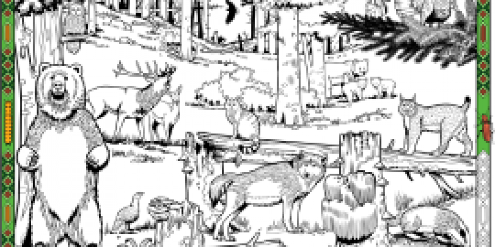 SLOVENIA, EUROPEAN BIODIVERSITY PARK – a colouring book for slightly older curious people