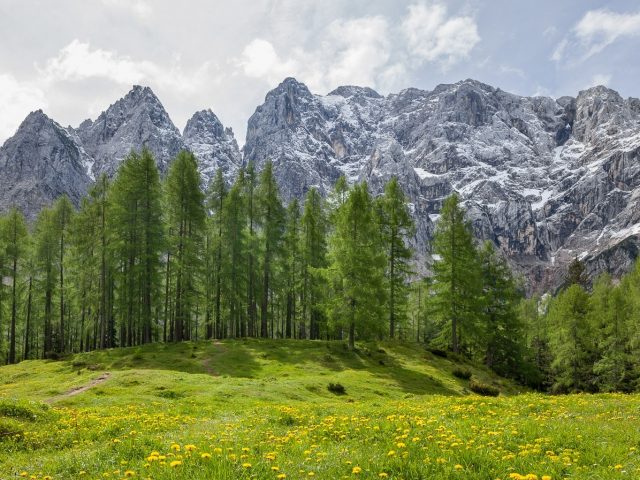 Čas za naravo in biodiverziteto!