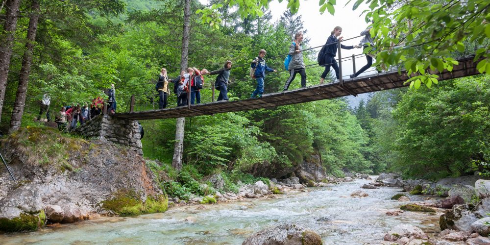 Izobraževalni terenski dan za otroke: Pisan pomladni svet
