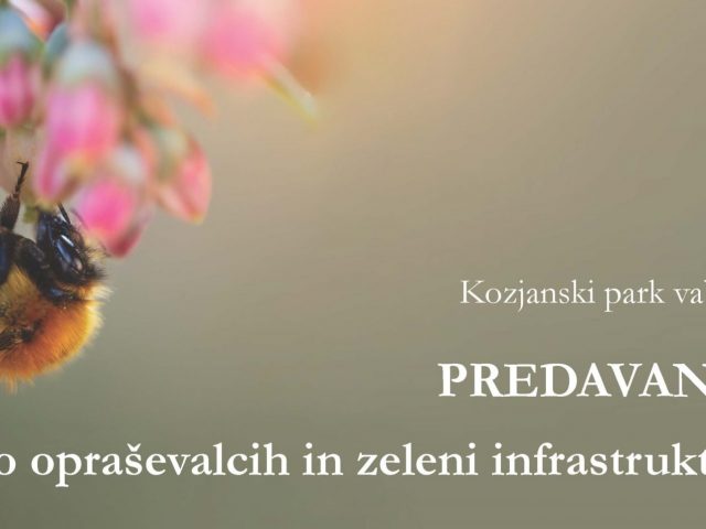 Predavanje o opraševalcih in zeleni infrastrukturi