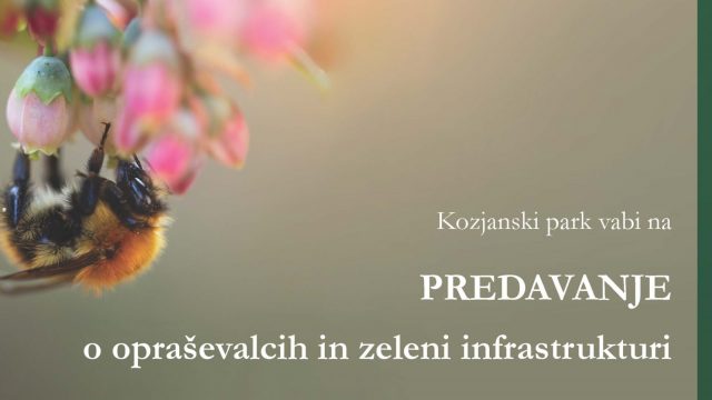 Predavanje o opraševalcih in zeleni infrastrukturi