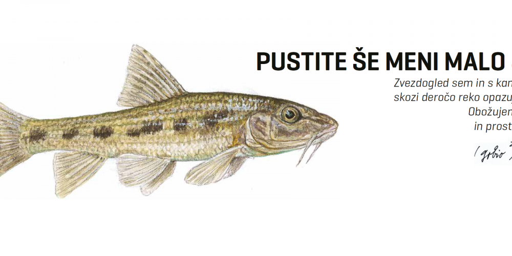 Pustite še meni malo Save!